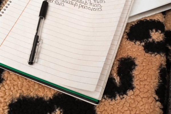 Не зачисляются деньги на кракен